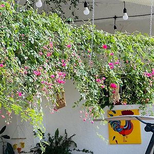 Hotel Tamar Mepe
